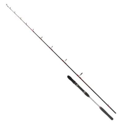 Okuma ARIA-6000a & Ryuji Searider 1.80m 60-180gr Tekne Seti - 2