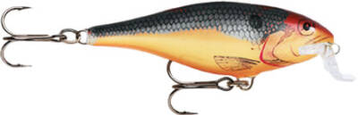 Rapala Shallow Shad Rap Sahte Balığı - 172