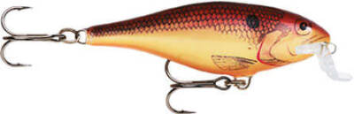 Rapala Shallow Shad Rap Sahte Balığı - 94