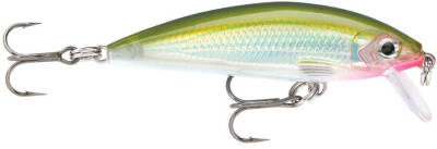 Rapala X-Rap Countdown Sahte Balığı - 156