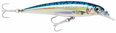 Rapala X-Rap Saltwater Sahte Balığı - 5