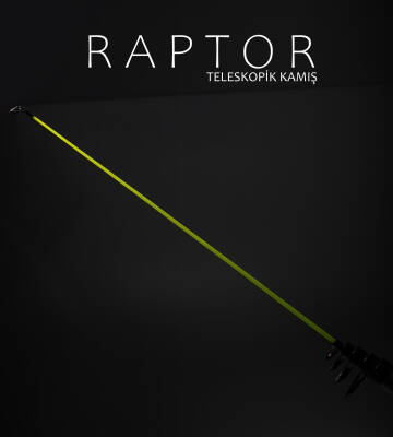 RAPTOR 150 TELE 240 CM 75-150G - 4