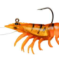 Ryuji Real Shrimp 7.6cm 12gr Silikon Yem - 5