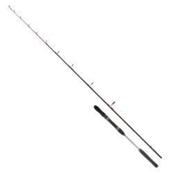 Ryuji Searider 1.80m 60-180gr 2P Jig Kamış - 1