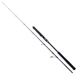 Ryuji Seawolf 1.80m 400-800gr 2P Jig Olta Kamışı - 1