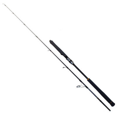 Ryuji Seawolf 1.83m 200-400gr 2P Jig Olta Kamışı - 1