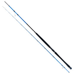 Ryuji Shore Game Fuji 2.85m 25-85gr 2P Shore Jig Kamış - 1