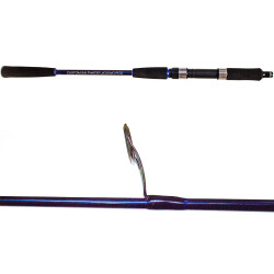 Ryuji Strobe 1.68m 80-170gr 2P Jig Olta Kamışı - 2