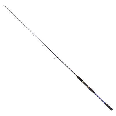 Ryuji Strobe 1.98m 40-110gr 2P Jig Olta Kamışı - 1