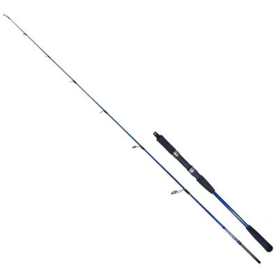 Ryuji Strobe II 1.68m 40-110gr 2P Jig Olta Kamışı - 1