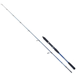 Ryuji Strobe II 1.68m 60-130gr 2P Jig Olta Kamışı - 1