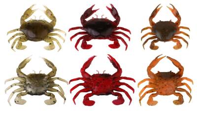 Savage gear LB 3D Manic Crab 5 cm 4 Adet Sahte Balık - 1