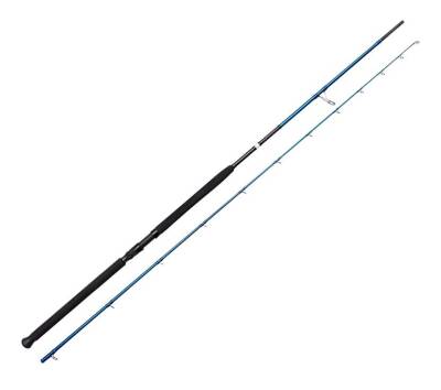 Savage Gear SGS2 Shore Jigging 10'/3.05m 30-100 gr 2 Parça - 1