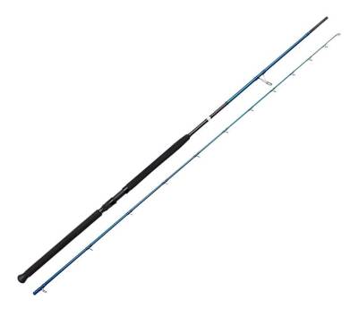 Savage Gear SGS2 Shore Jigging 9'6''/2.90m 20-80 gr 2 Parça - 1