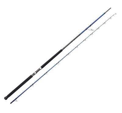 Savage Gear SGS6 Shore Jigging 10'/3.05m 60-150 gr 2 Parça - 1