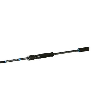 Shimano Bassterra Sea Bass 2,74m 7-30g 2pc Spin Kamışı - 2