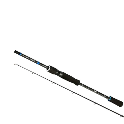 Shimano Bassterra Seabass 289 cm 15-60 gr Spin Kamış - 2