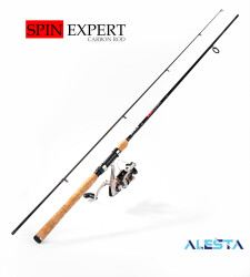 SPIN EXPERT 210 CM 1-10G LF 2P KARBON - 1